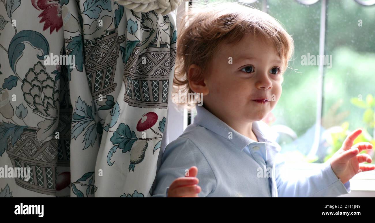 Toddler boy hiding behind curtains. Happy child plays hide and seek Stock Photo