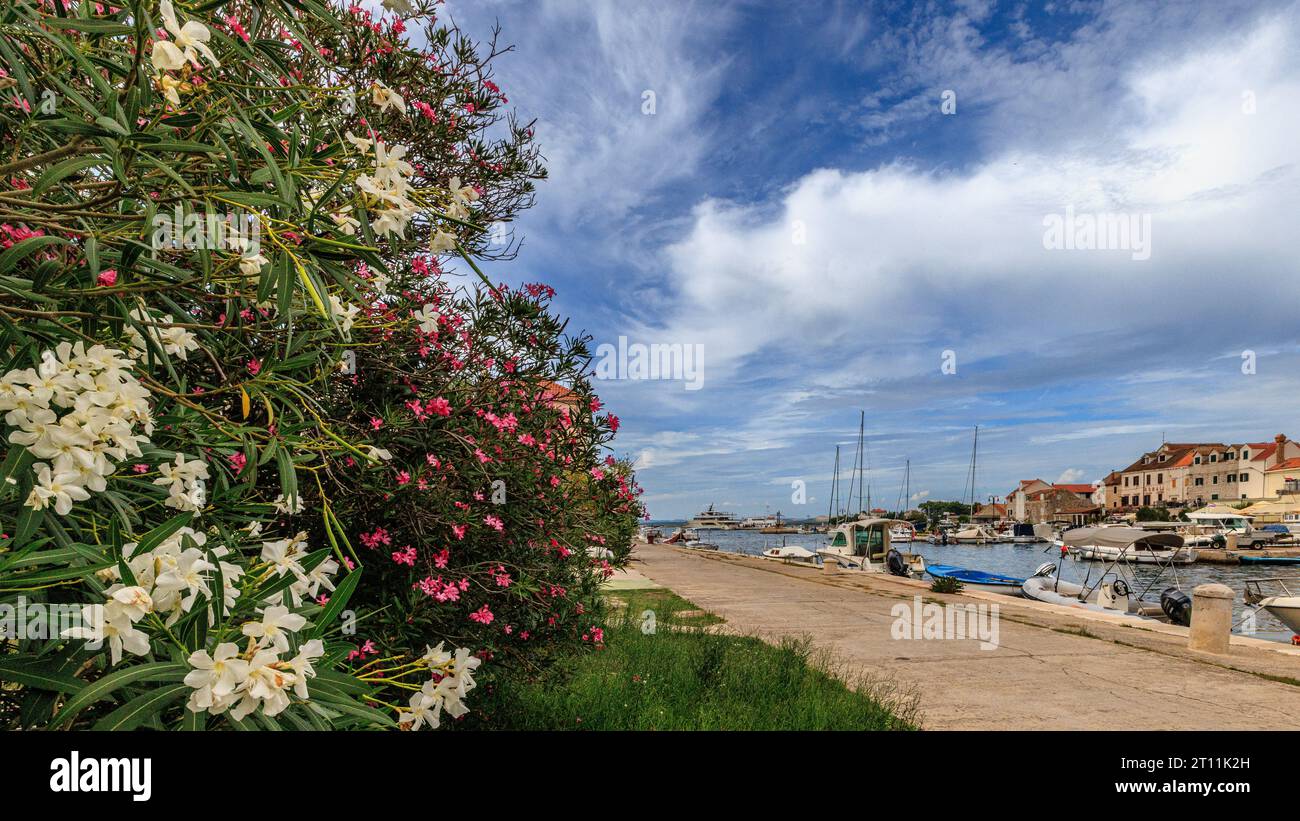 colourful shrubs face the small boats lined up on the quayside of the peaceful harbour of zlarin in croatia Stock Photo