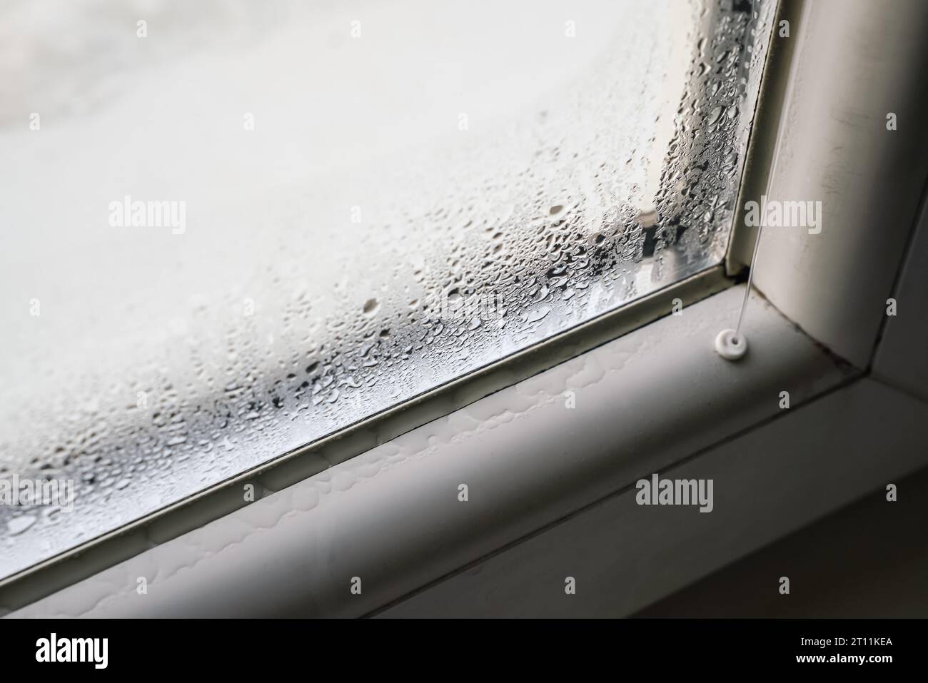 Hand with steamed cover for microwave closeup. Condensation and water  droplets on the surface of the plastic after heating food Stock Photo -  Alamy