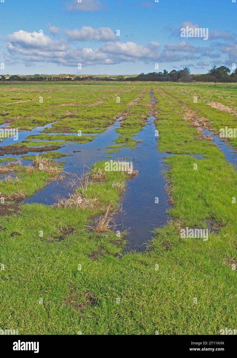 Water table rise hi-res stock photography and images - Alamy