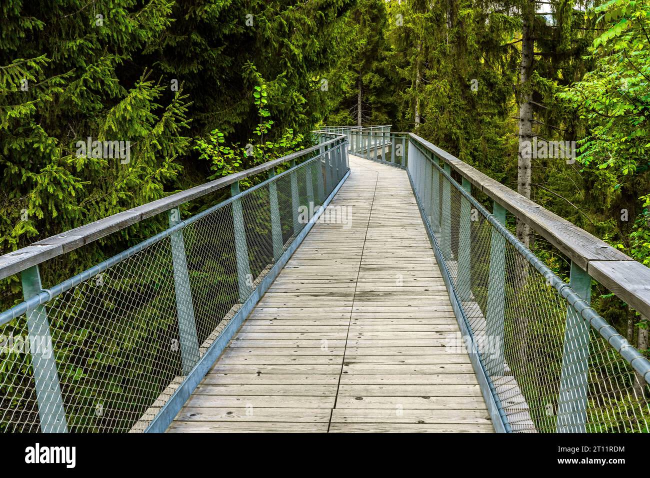 The Senda dil Dragun, the longest treetop path in the world, districts