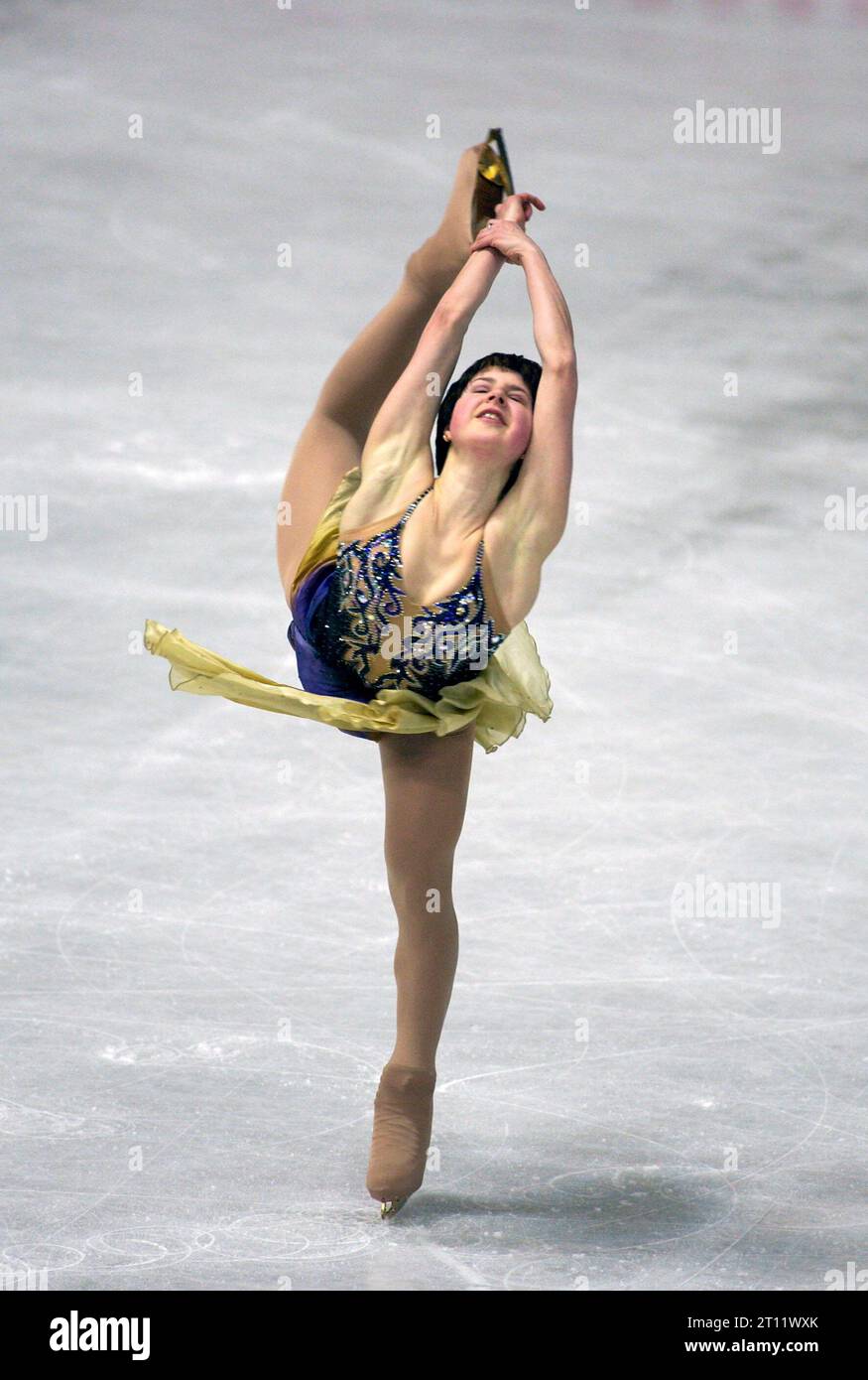 Ayolning mushukiga pissing