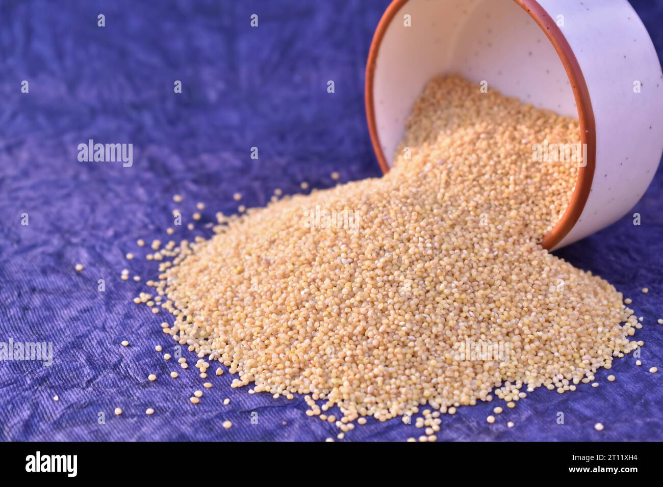 A closeup picture of a foxtail Millet grains spilled from bowl. Millet