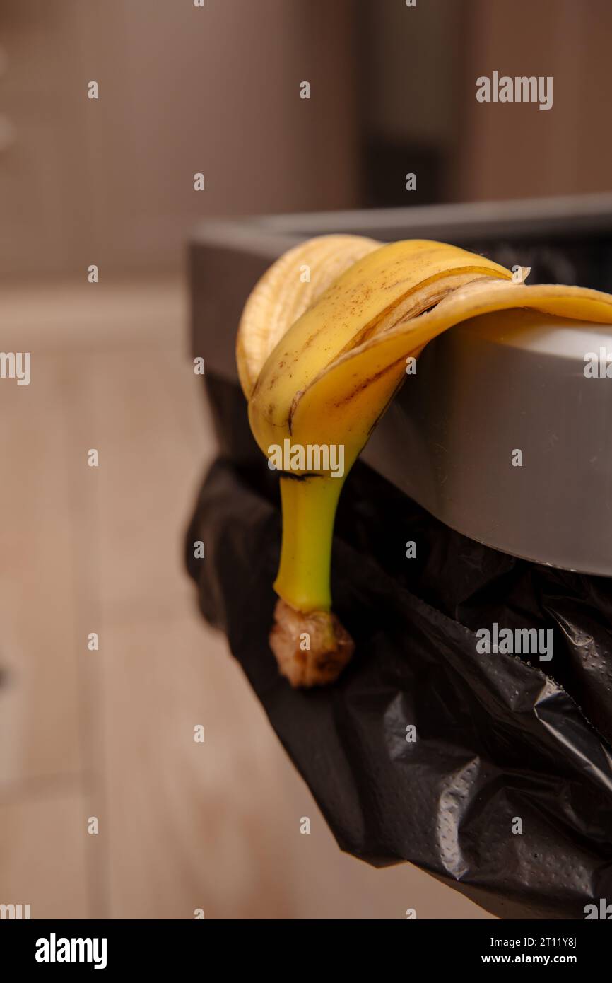 banana peel in a trash bin Stock Photo Alamy