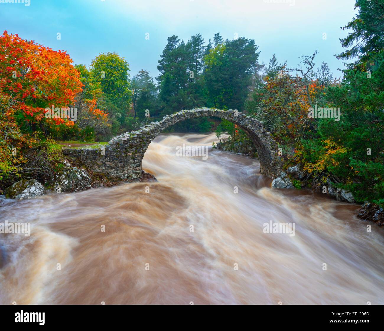 River Dulnain in spate flowing under the Old Pack Horse Bridge at Carrbridge in Scottish highlands, Scotland UK Stock Photo