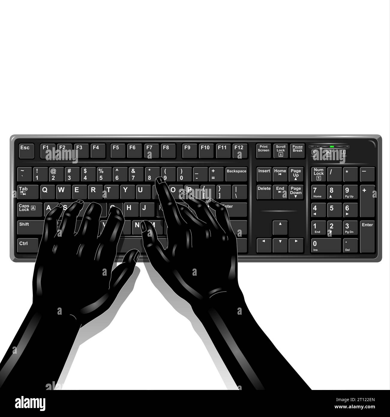 Hands typing on a computer keyboard. Vector illustration isolated on white background Stock Photo