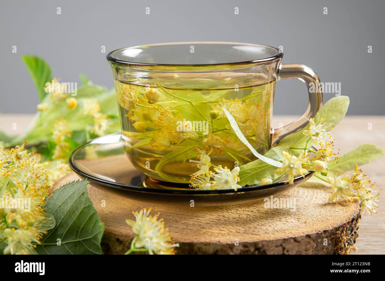 Tilia platyphyllos known as large-leaved linden herbal tea made out of an freshly picked blossoms with tree leaves and branches with blossoms. Stock Photo