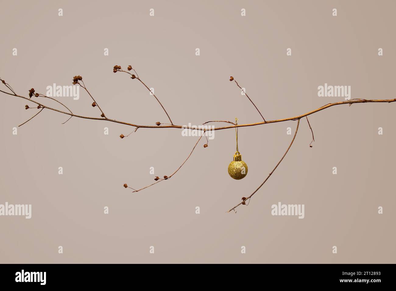 Goiânia, Goias, Brazil – October 09, 2023: A dry branch with a golden Christmas ball on a beige background. Christmas concept. Stock Photo