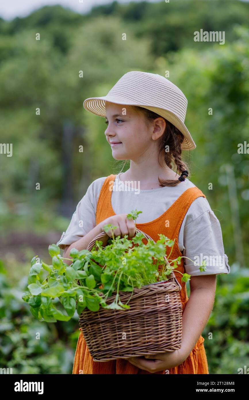 Little girl in an autumn garden. The young girl in a dress and hat holding a basket full of harvested vegetable and herbs. Stock Photo