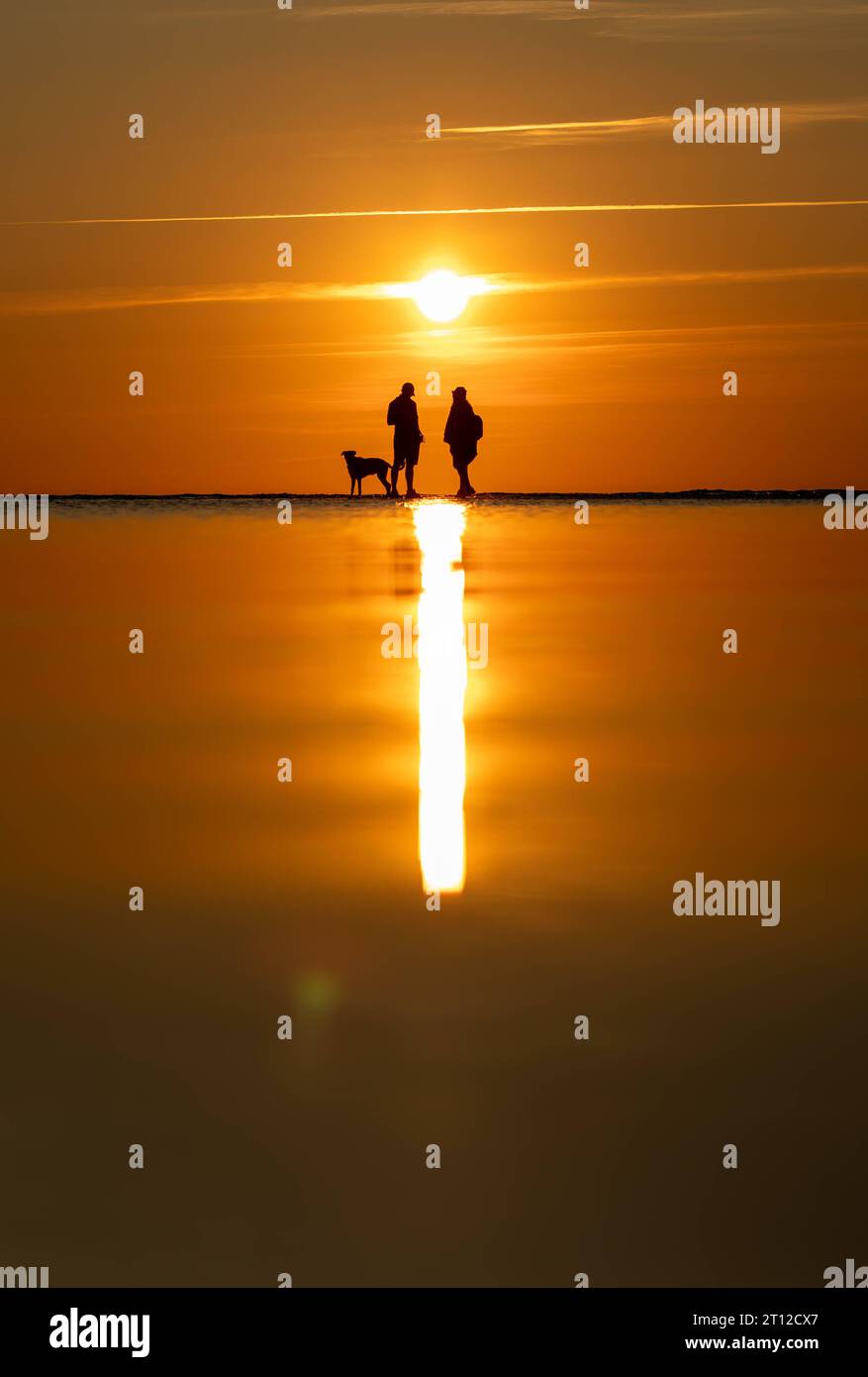 Hausteiere hi-res stock photography and images - Alamy