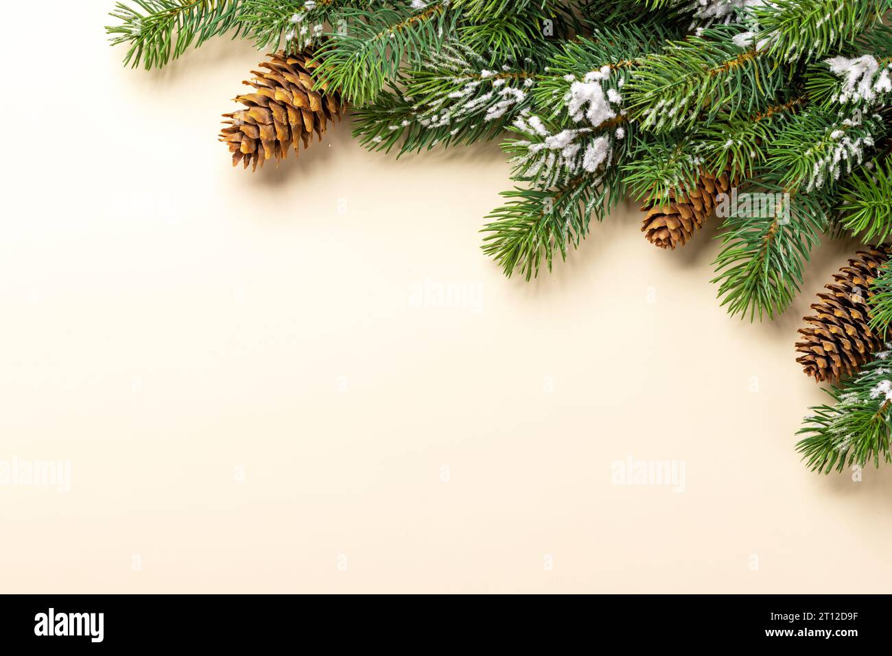 Christmas fir tree branch frame over beige background with space for ...