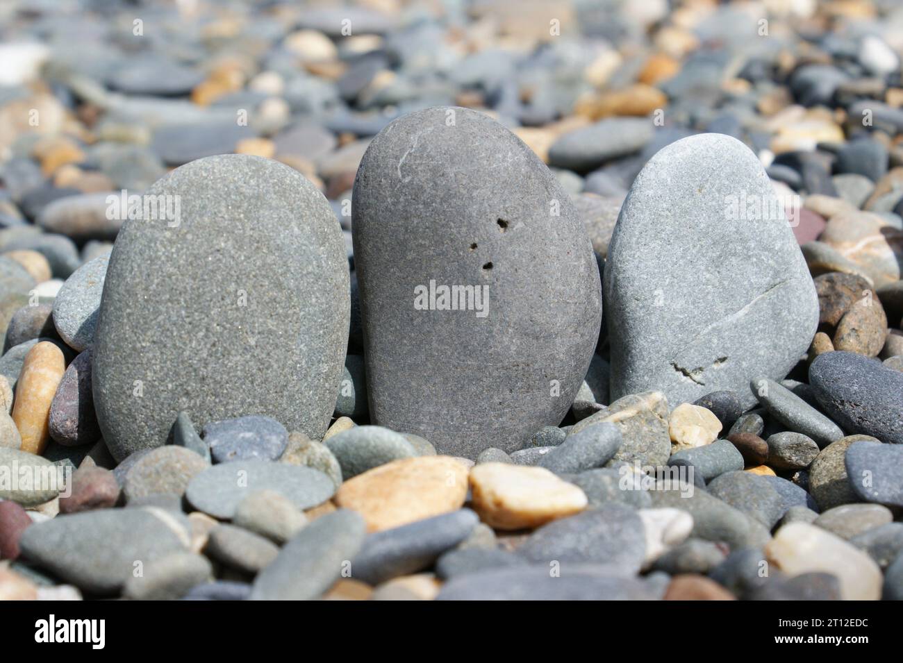 Three stones on a stony beach in a sunny day. Various pebbles and stones. Stock Photo