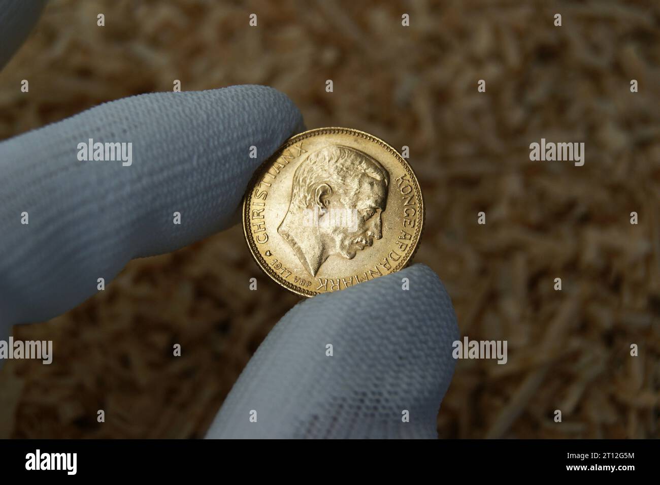 An old gold Danish coin in the hands of a numismatist. 20 Kroner Christian X 1917. Stock Photo