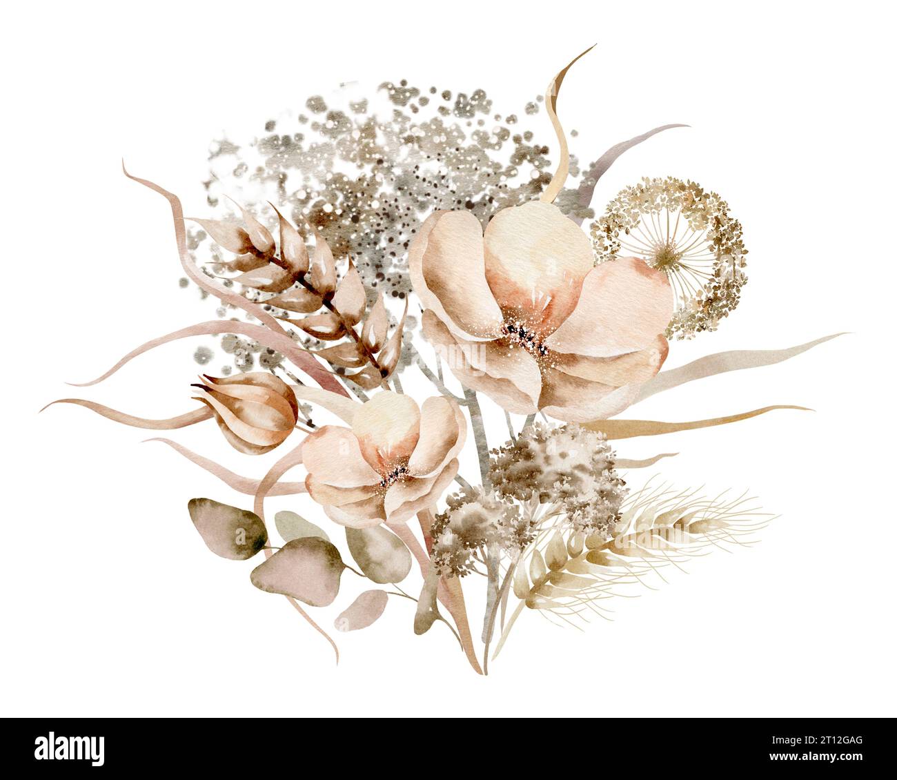 Wildflowers watercolor bouquet. Illustration set of floral bouquet of dried flowers on a white background drawn by hand. Stock Photo