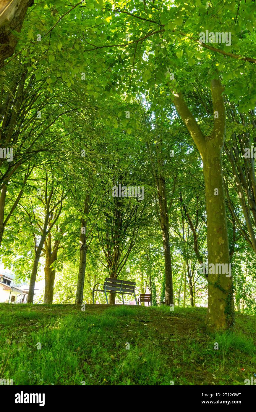 Park in the municipality of Lezo, the small coastal town in the province of Gipuzkoa, Basque Country. Spain Stock Photo