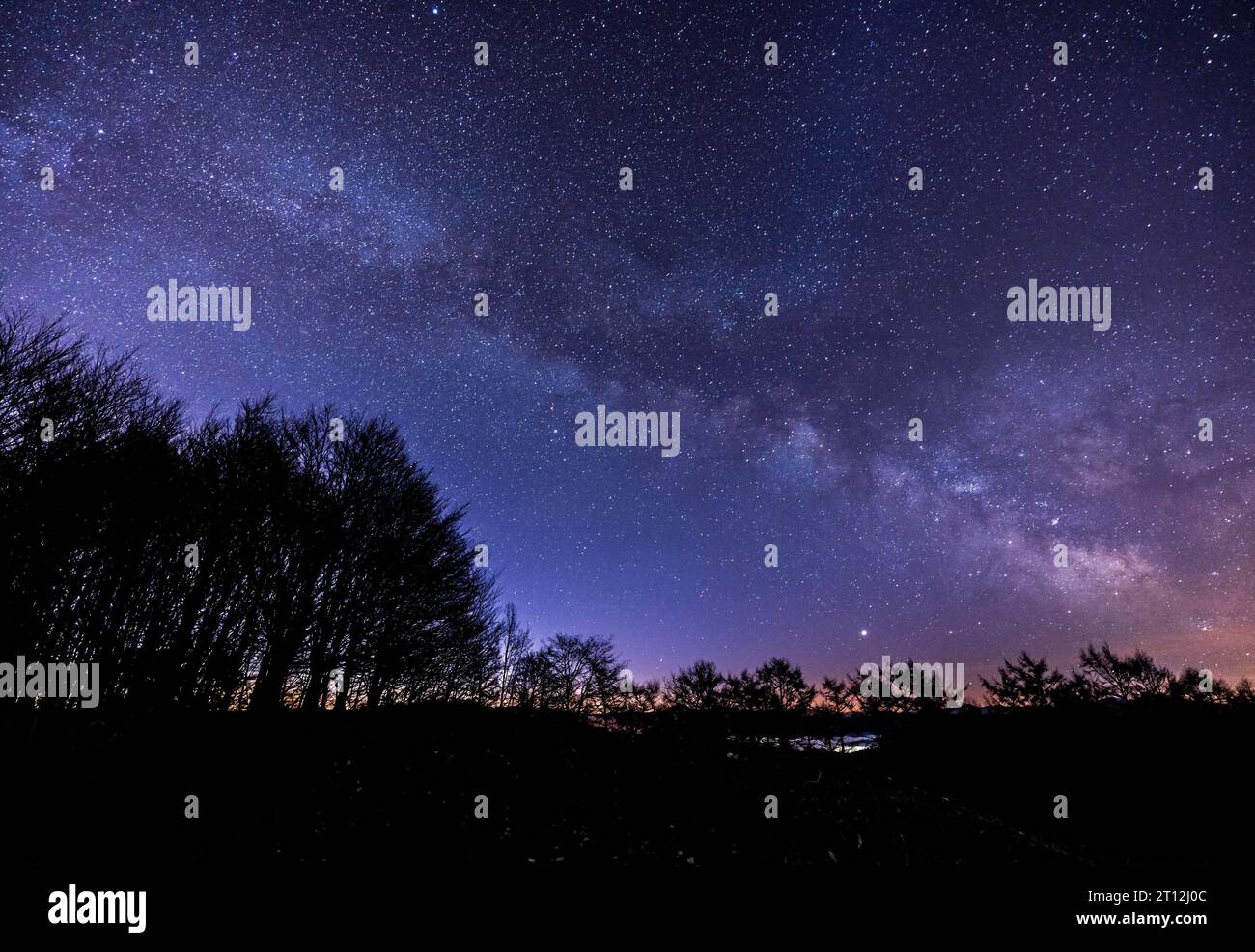 Beautiful Milky Way above the Agina forest on a February night, Navarra Stock Photo