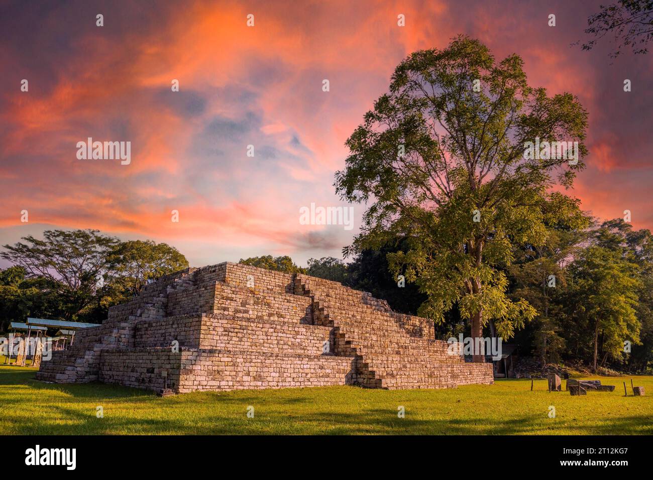 A Mayan pyramid next to a tree at the Copan Ruinas temples in a beautiful orange sunrise. Honduras Stock Photo