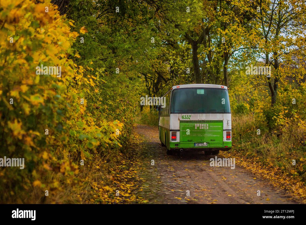 6.11.2020. Poland, road to Gardkowice. Setra S215UL from PKS Gdynia in one of the most photogenic places within network of this carrier. Stock Photo