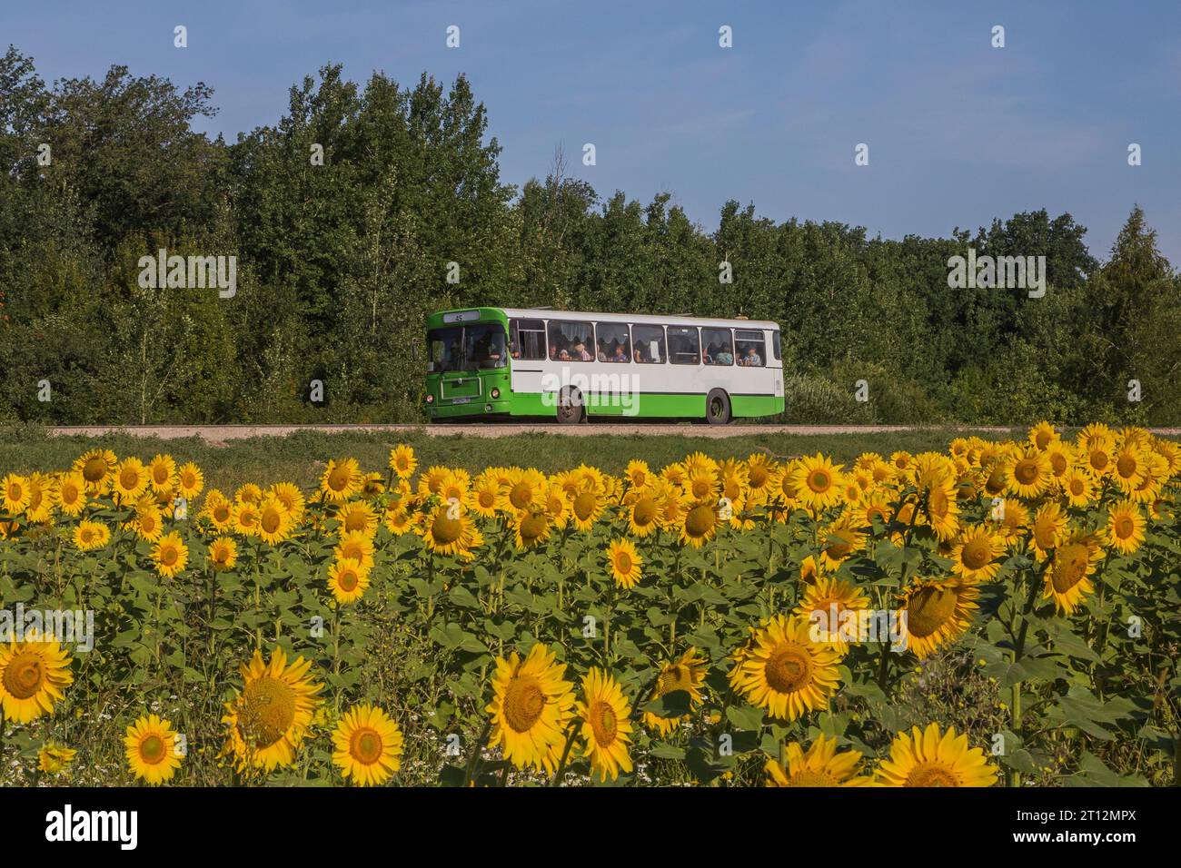 24.07.2019. Russia, road R-158 near Penza. MAN SU240 on urban line. Stock Photo
