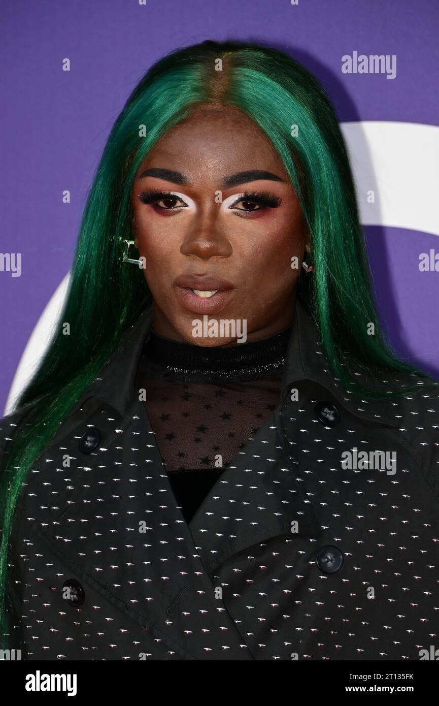 Royal Festival Hall, London, UK. 10th Oct, 2023. Vanity Milan attends