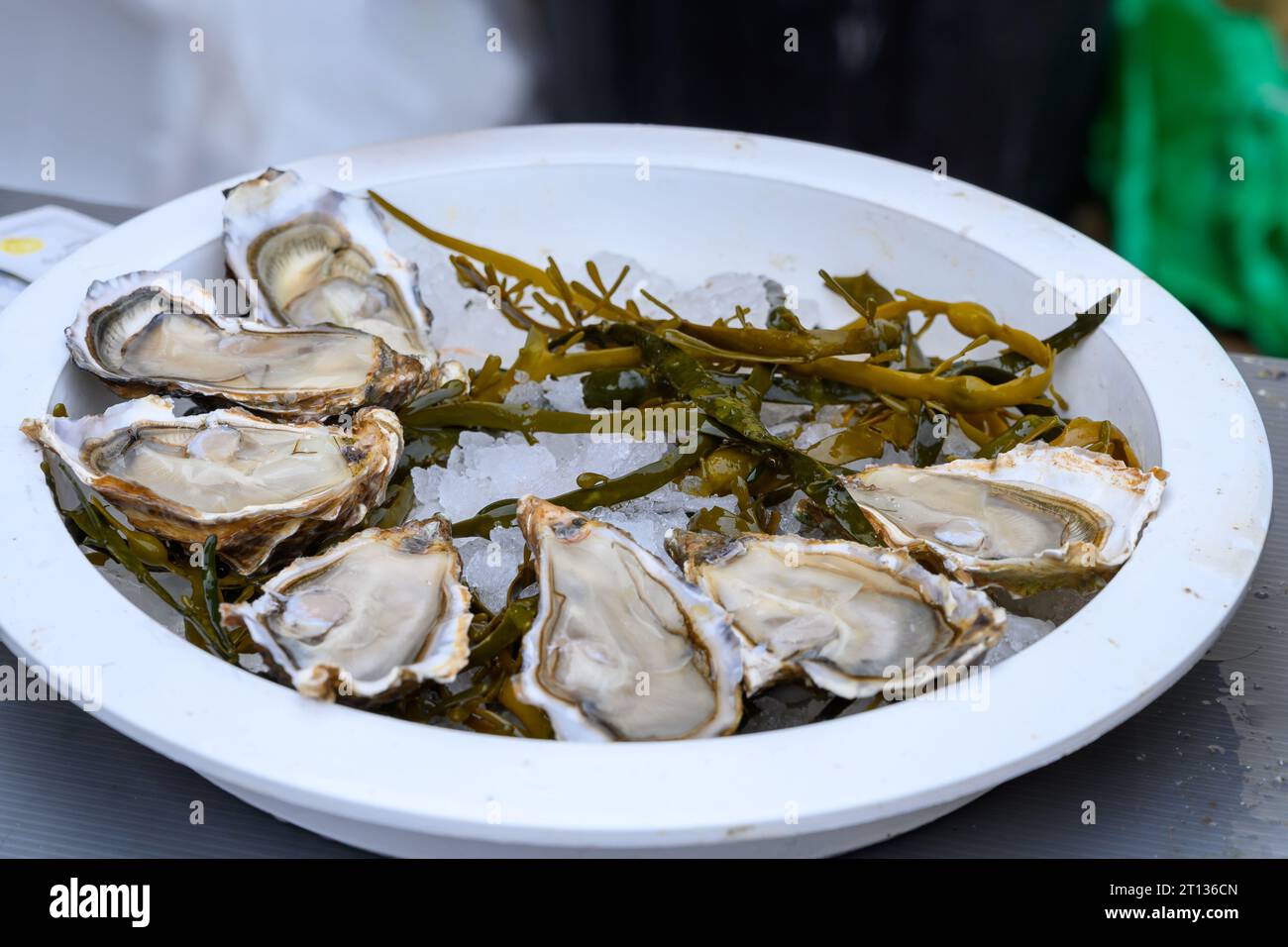 Fresh french Gillardeau oysters molluscs shucked on ice with lemon