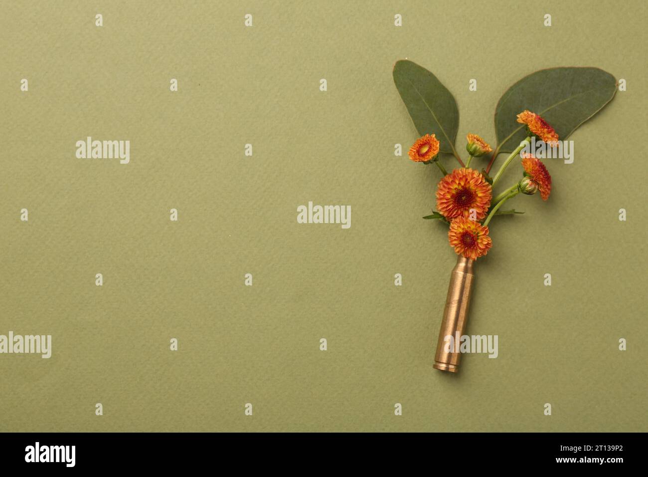 Beautiful flowers in bullet case on green background, top view. Space ...