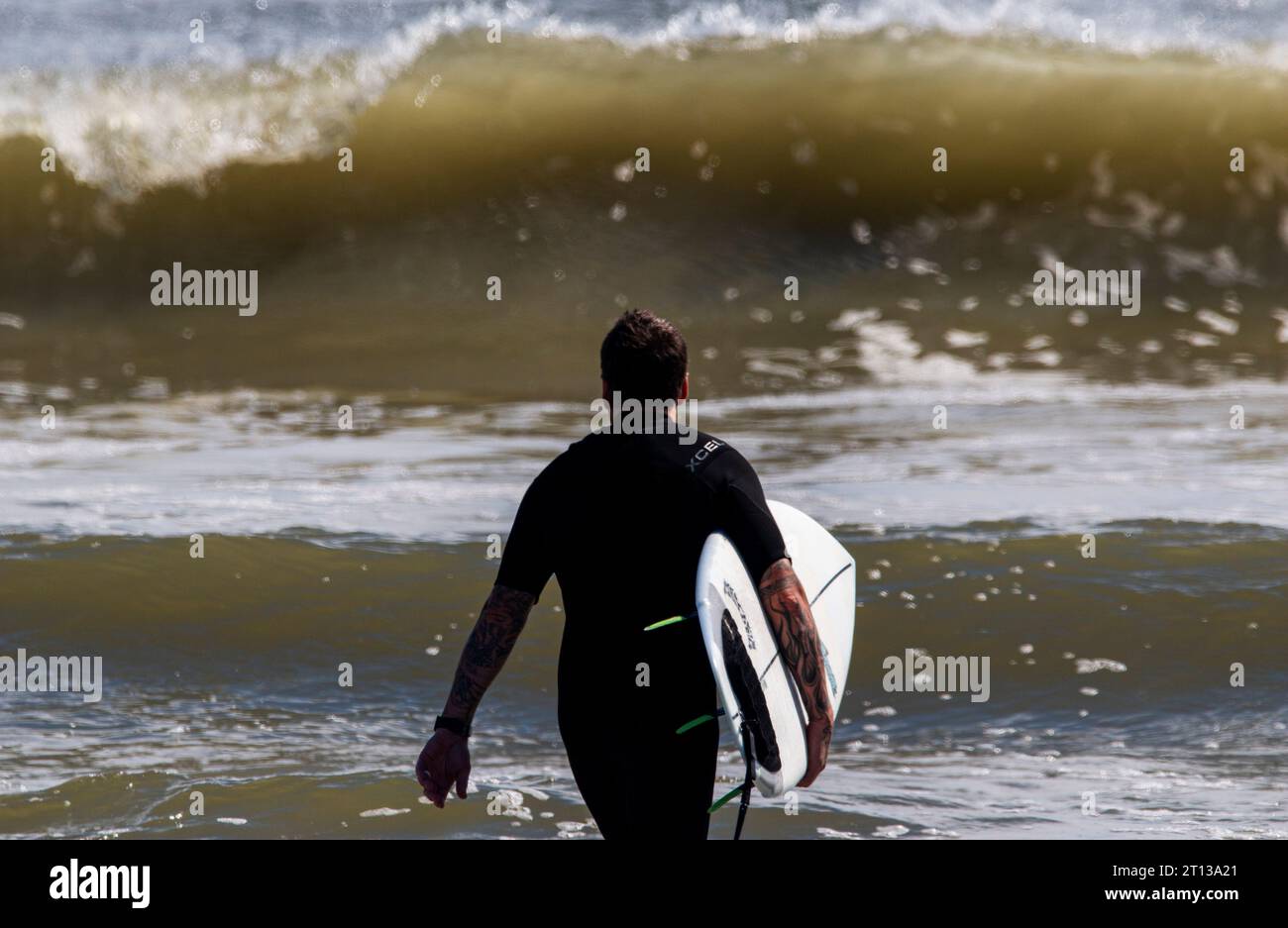 Gilgo Beach, New York, USA - 3 September 2023: Rear view of a male surfer wearing a black wetsuit carrying his surfboard toward the water with large w Stock Photo