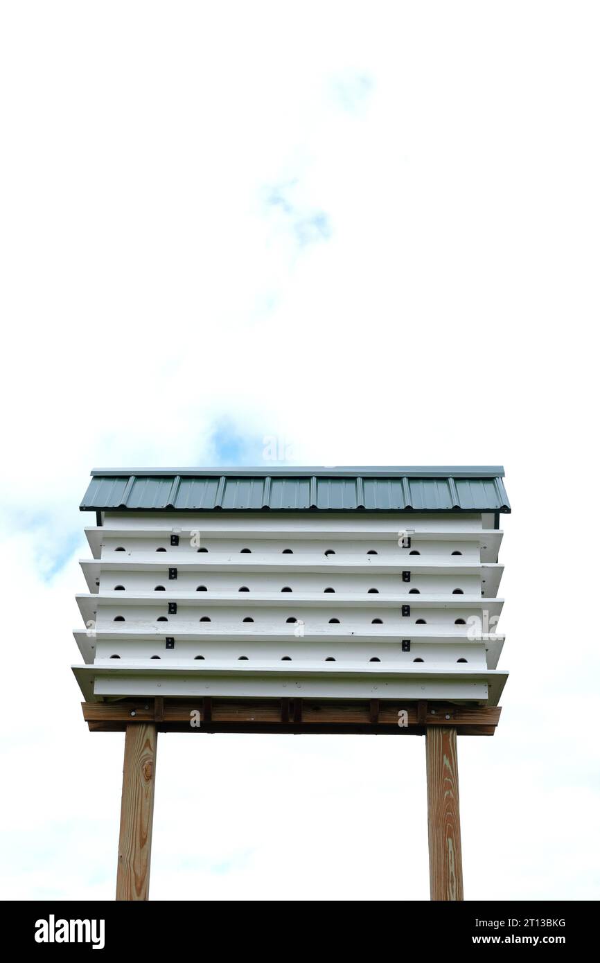 A large martin birdhouse. Stock Photo