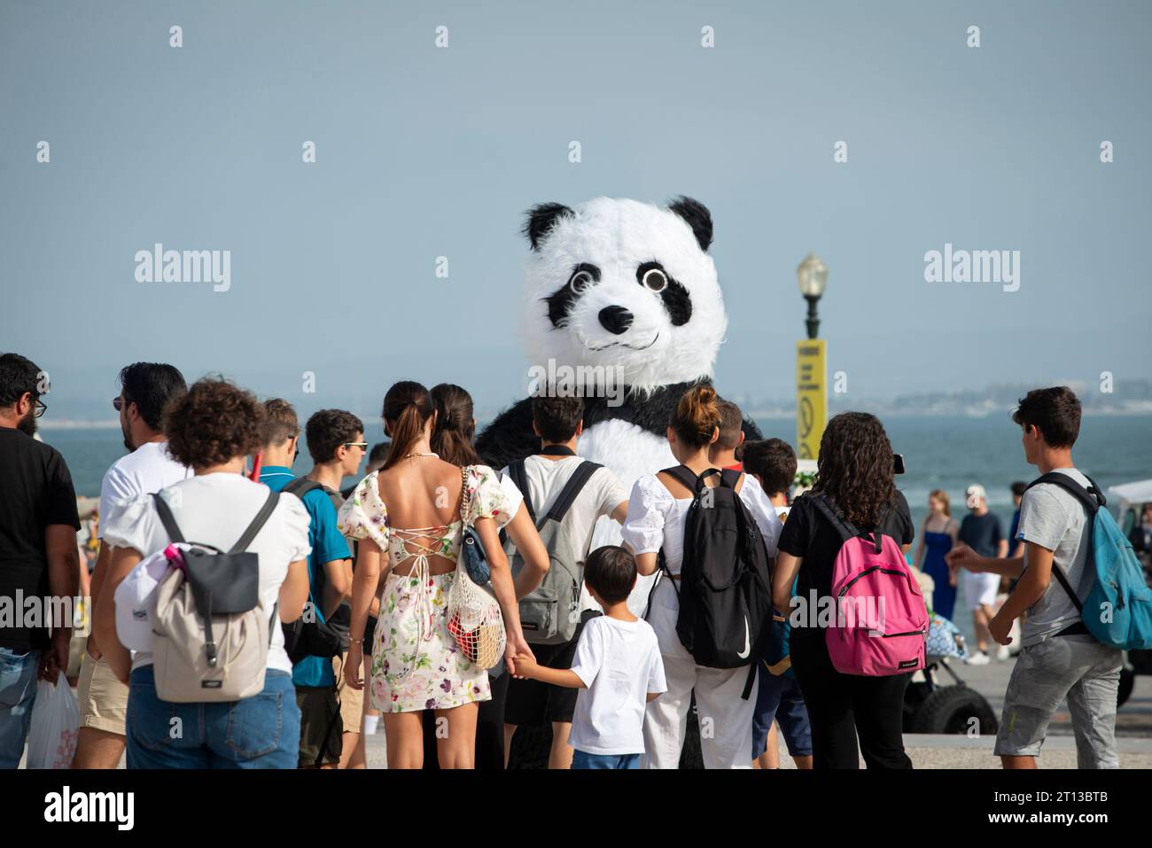 A giant panda made from Louis Vuitton handbags is displayed at Wuhan  International Plaza in Wuhan city, central Chinas Hubei province, 29 May  2013 Stock Photo - Alamy