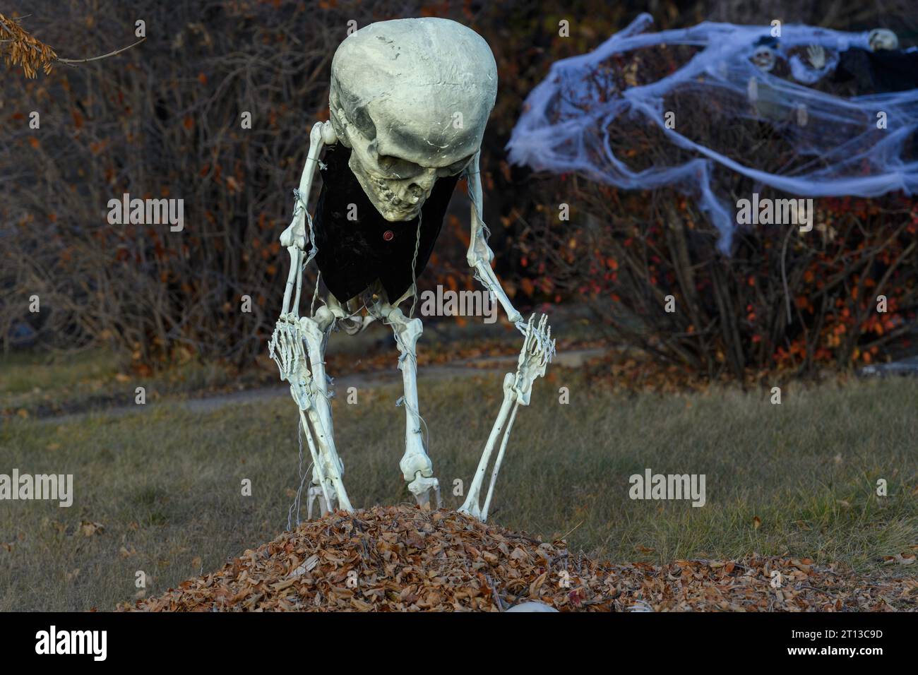 Halloween skeleton yard decorations Stock Photo