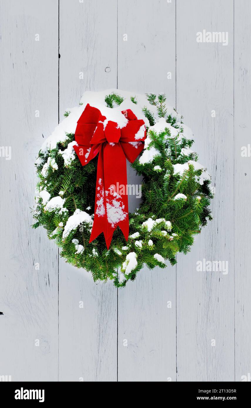 Snow-dusted pine needle Christmas wreath and red bow on weathered, whitewashed wide plank wall. Rustic, rural, natural, traditional country Christmas. Stock Photo