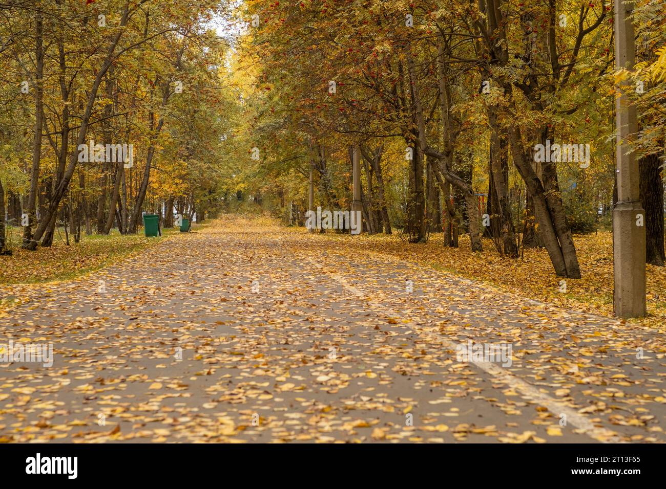 Beautiful romantic alley in a park with colorful trees and sunlight ...