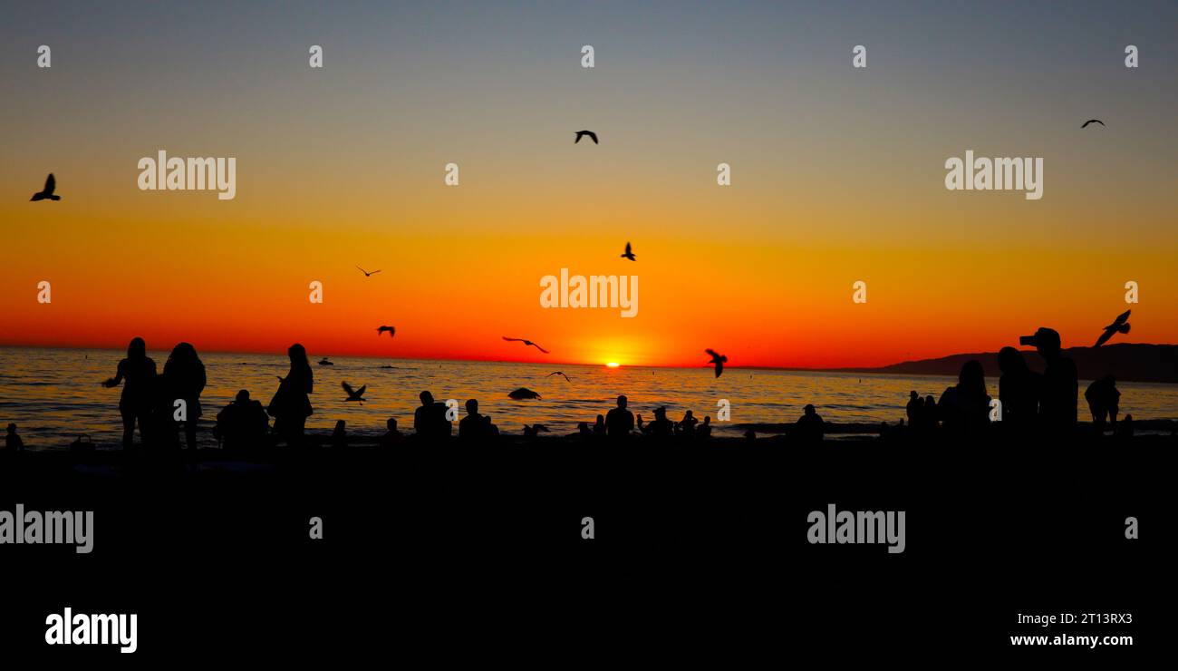 Silhouettes group people watching hi-res stock photography and images ...