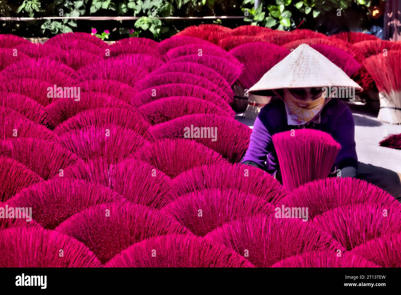 Worker drying incense in the Quang Phu Cau incense village, Hanoi, Vietnam Stock Photo
