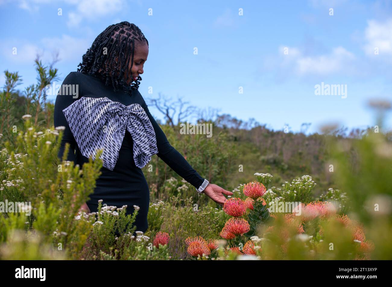 Black woman braids touching hi-res stock photography and images - Alamy