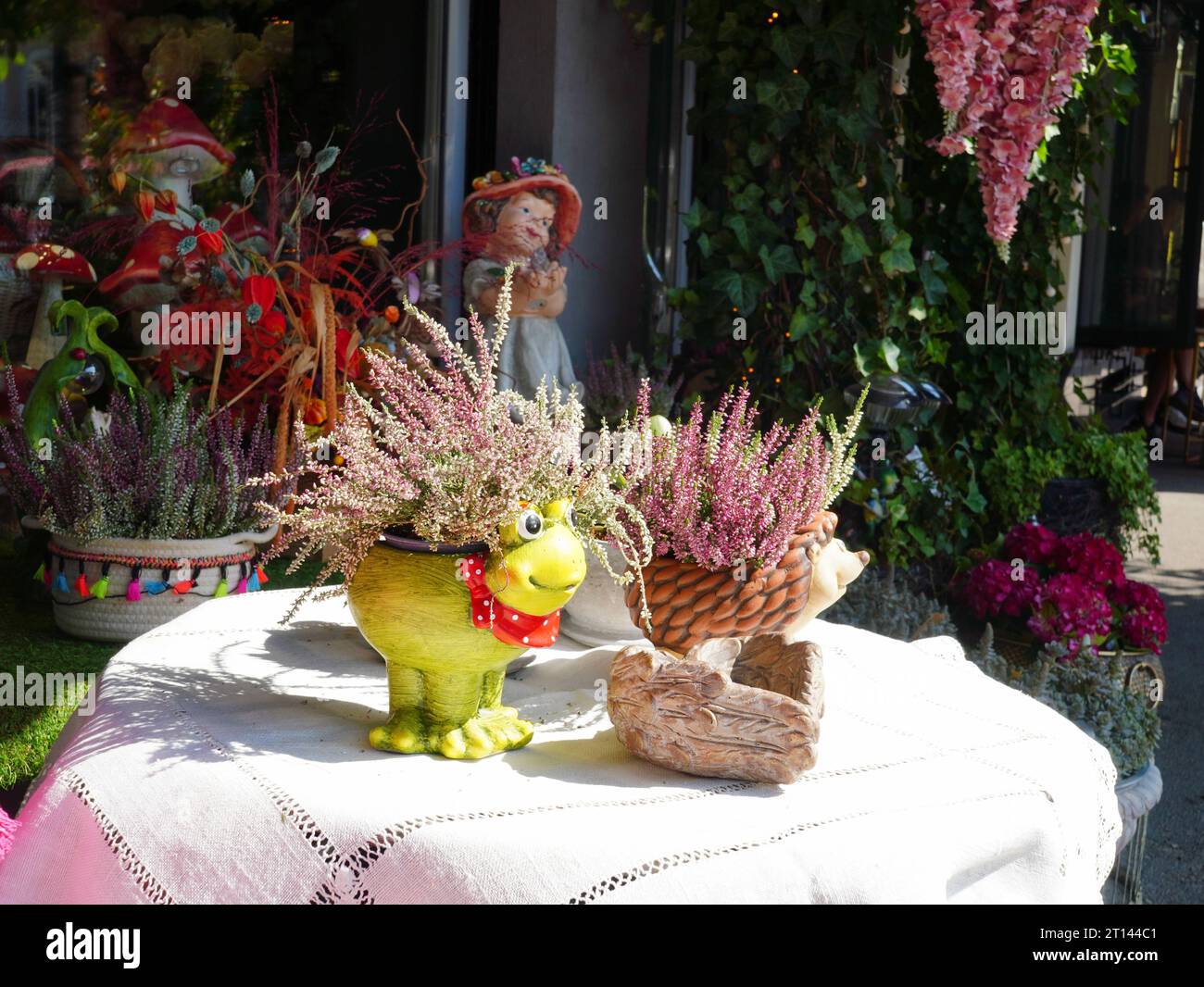 Floral arrangement with heather flowers in decorative pots in front of