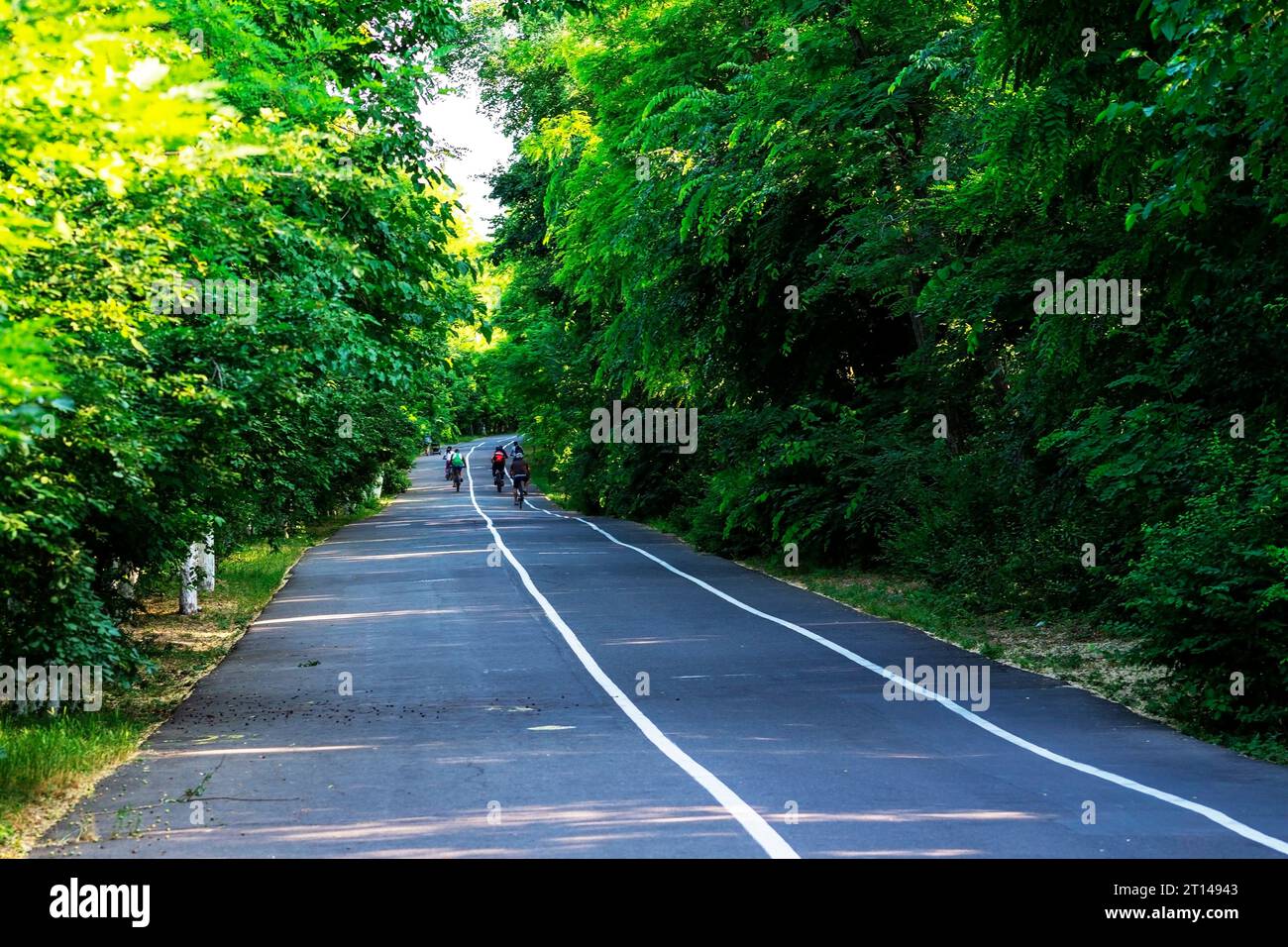 The asphalted road with two continuous white strips. The highway with a ...