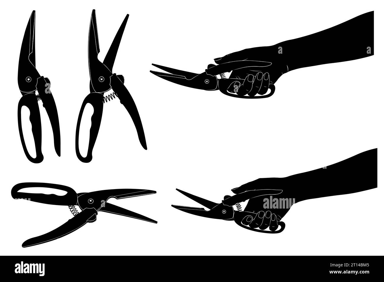 Illustration of different kitchen scissors isolated on white Stock