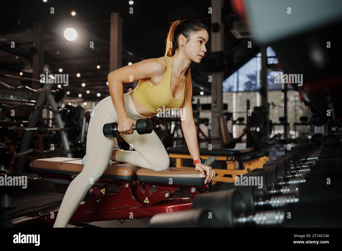 Fitness girl lifts dumbbells in the gym. Stock Photo