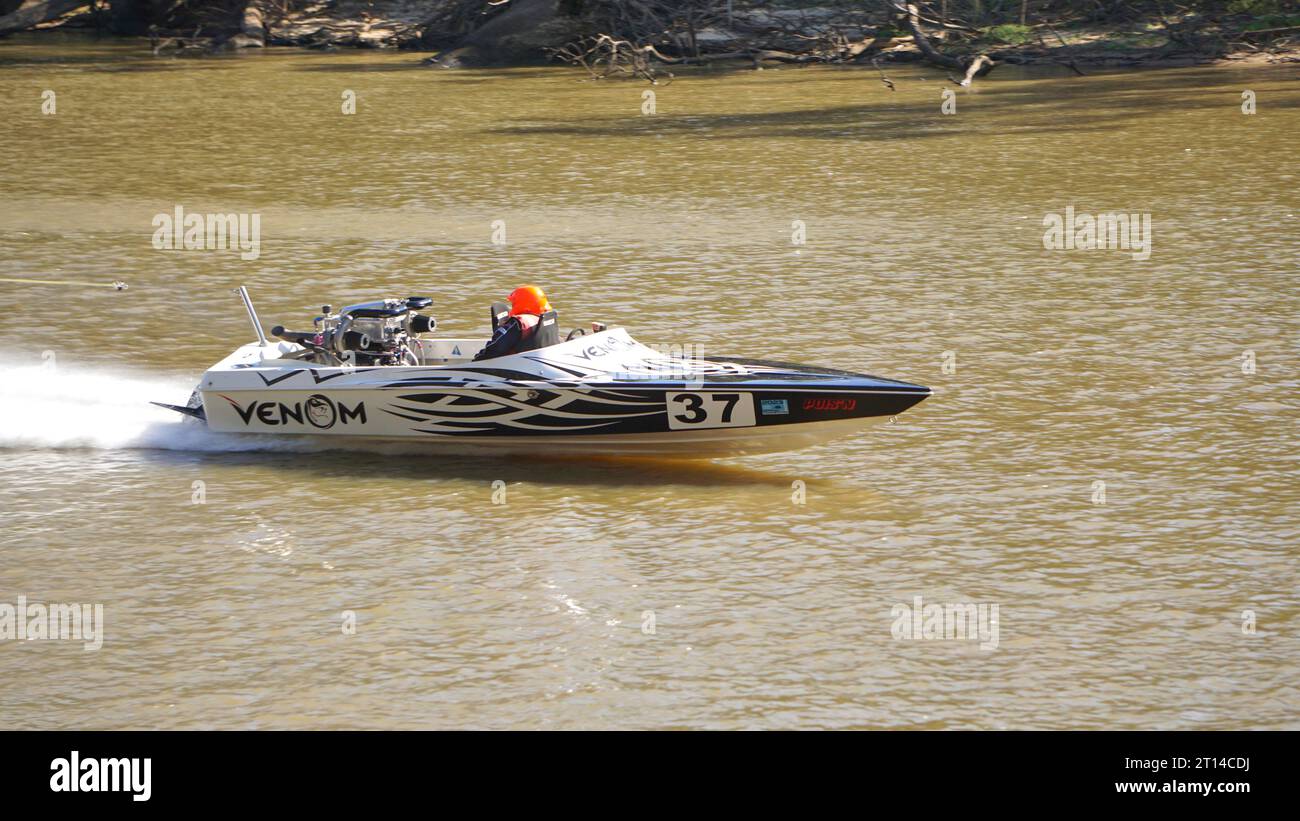 Echuca Victoria Australia, 26 March 2023.  Competitor Venom 37 competing on the Murray River Southern 80 Water Ski race Stock Photo