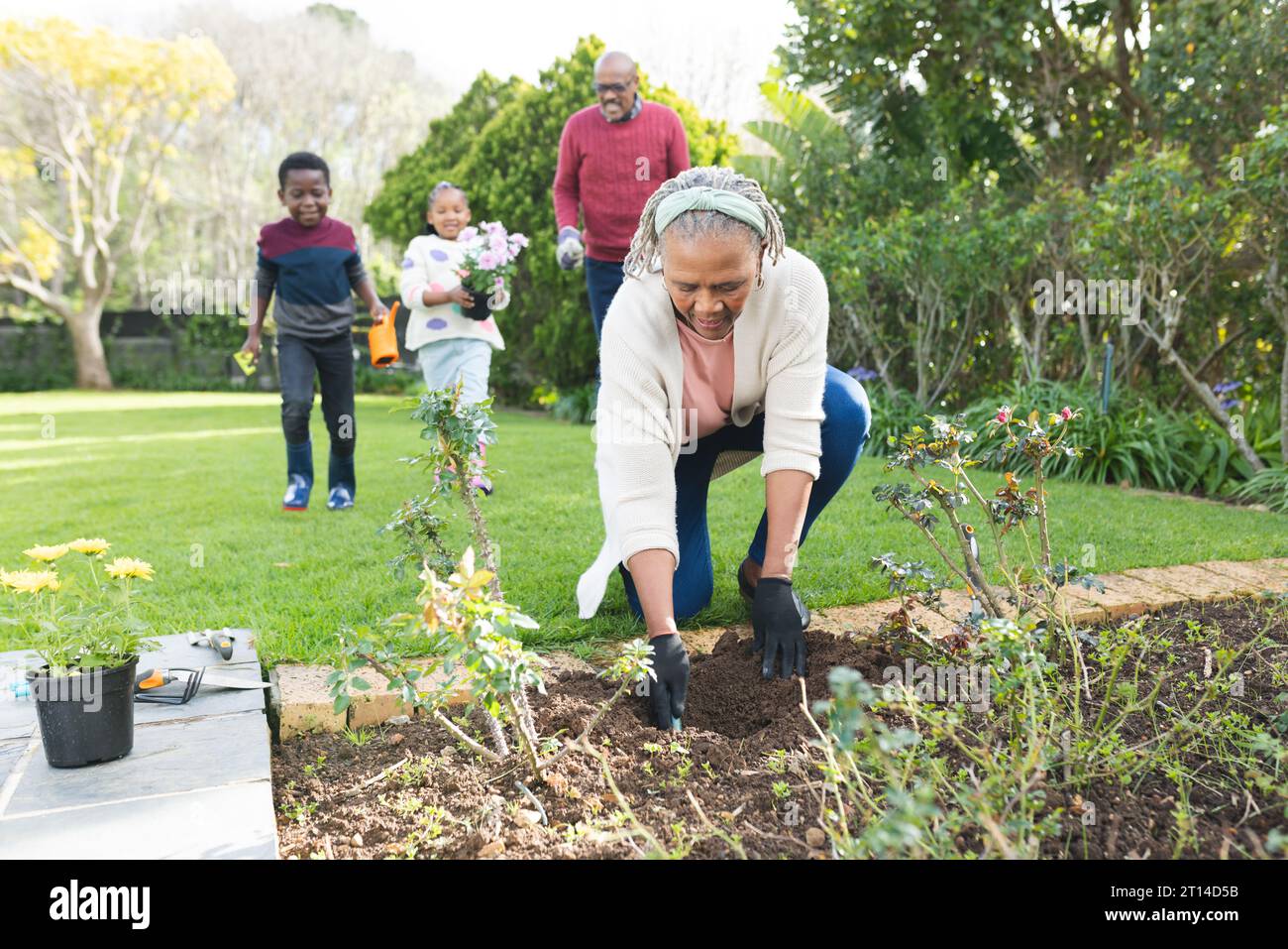 Happy african american grandparents and grandchildren planting plants