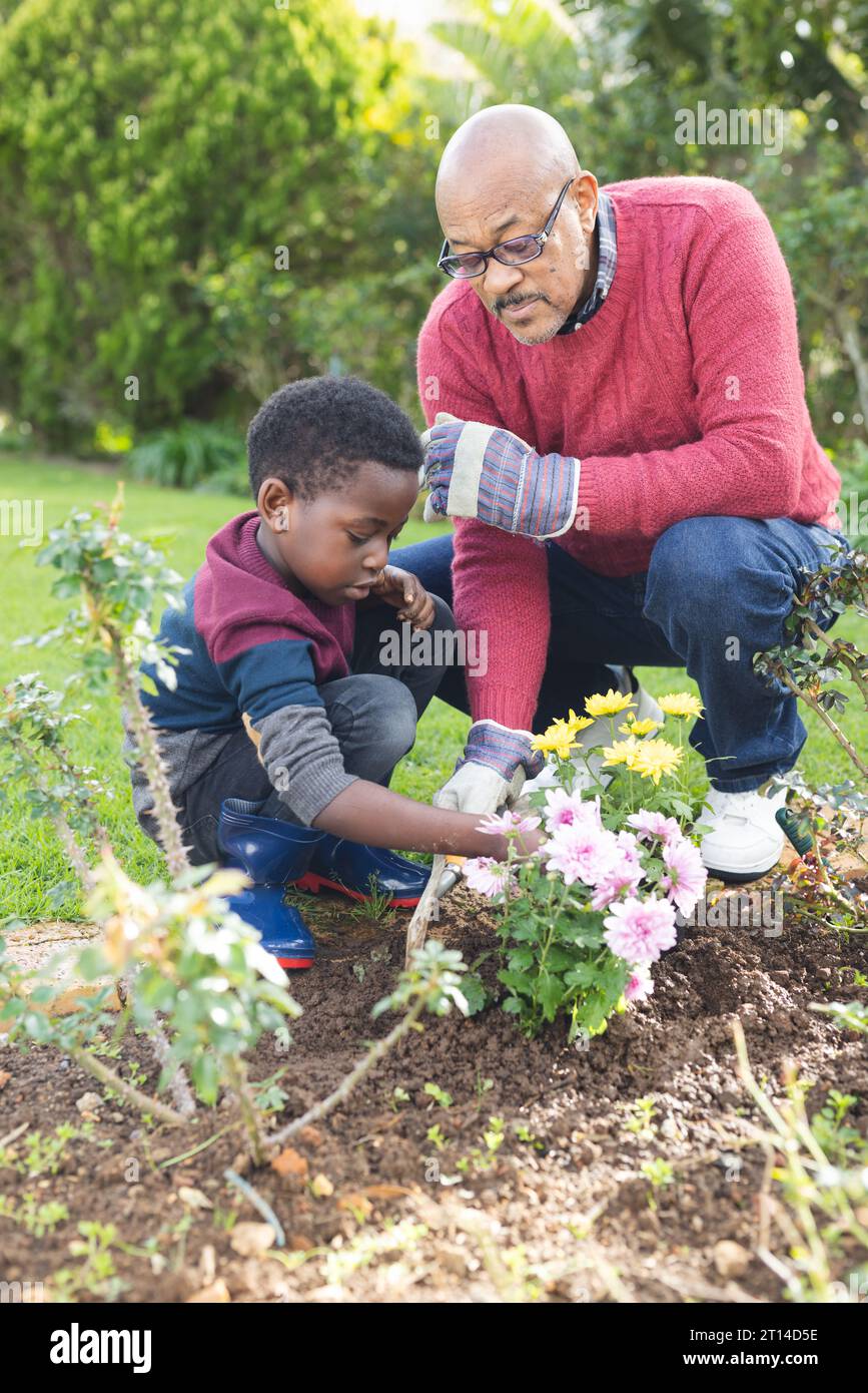 Happy african american grandfather and grandson taking care of plants in sunny garden Stock Photo