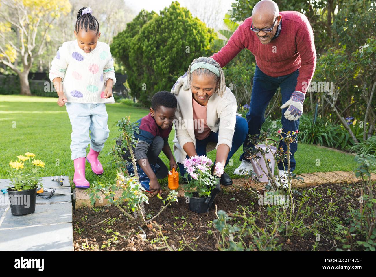 Happy african american grandparents and grandchildren planting plants