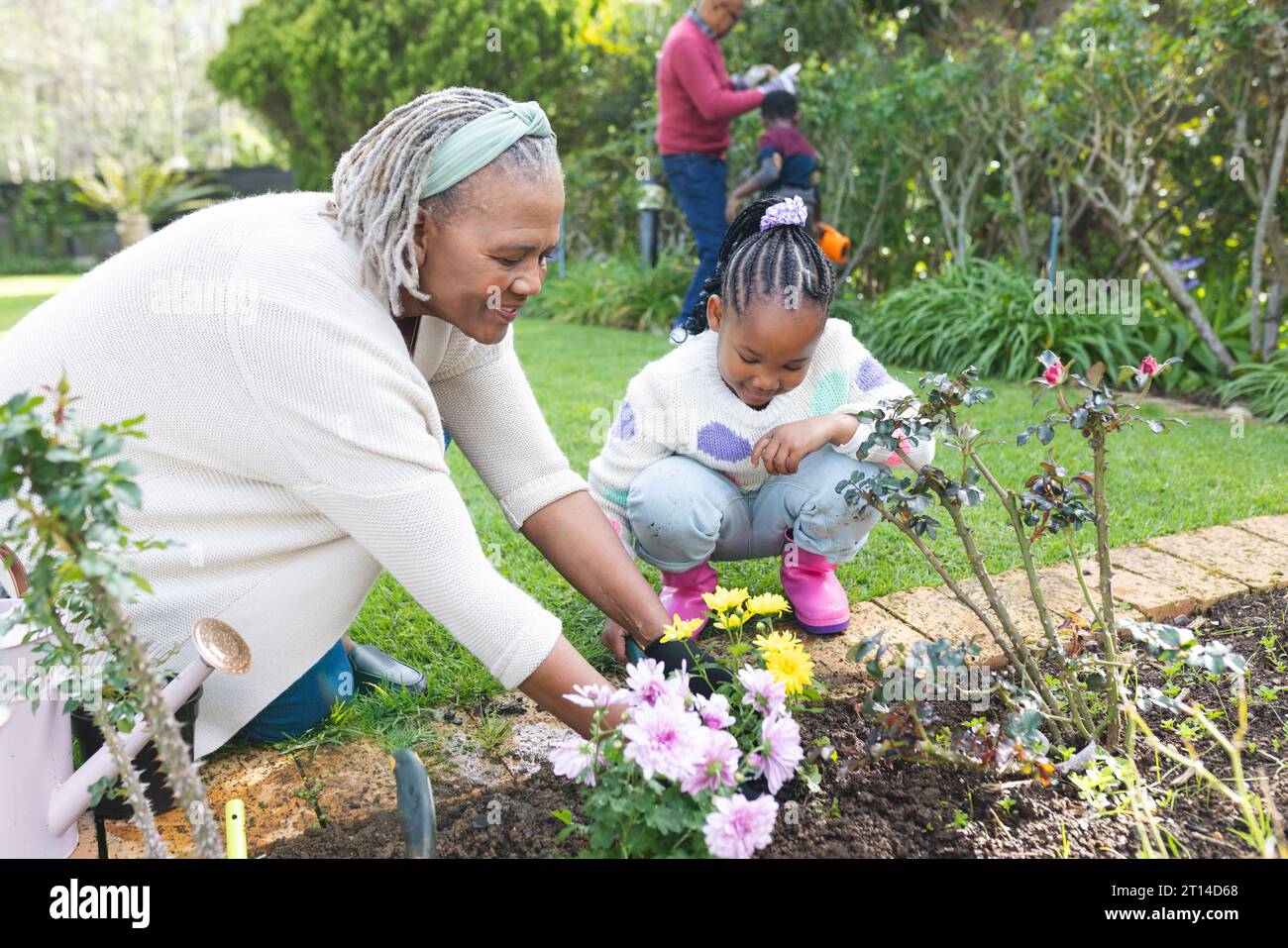 Taking care of plants hi-res stock photography and images - Alamy