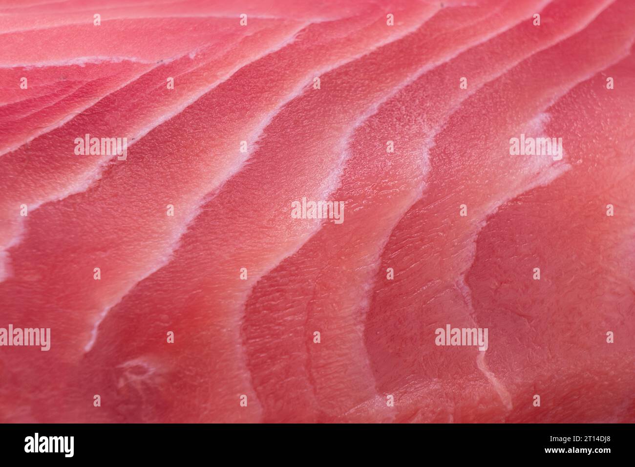 Macro shot yellow fin tuna steak background. Fresh rare steak close up