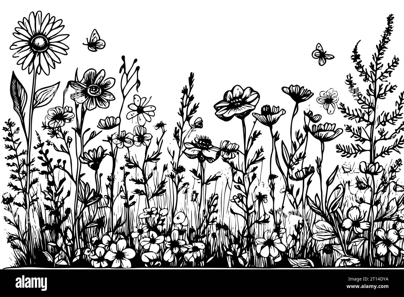sketch Set Herbs and Wild Flowers. Hand drawn floral. Vector ...