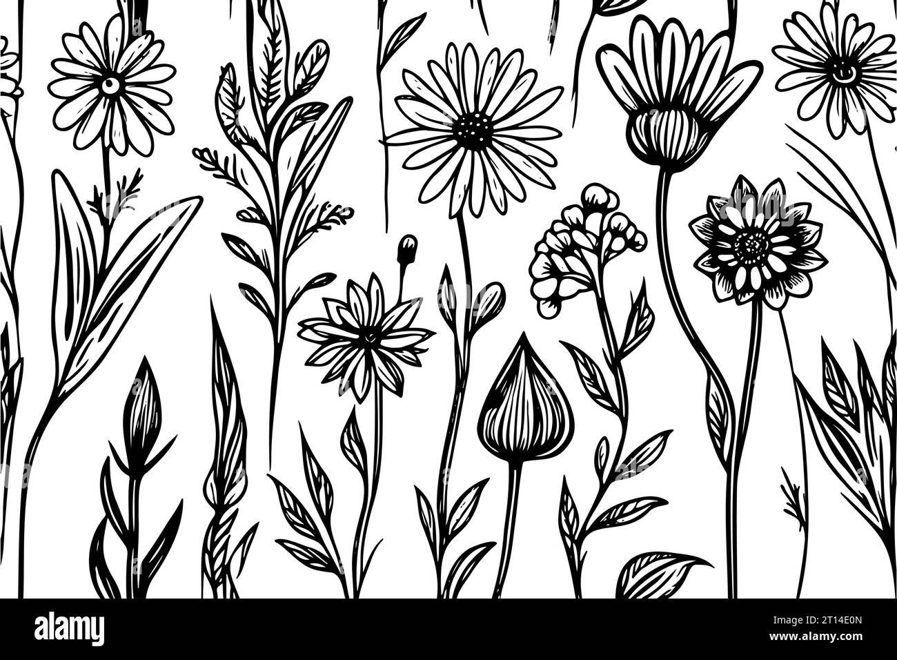 sketch Set Herbs and Wild Flowers. Hand drawn floral. Vector ...