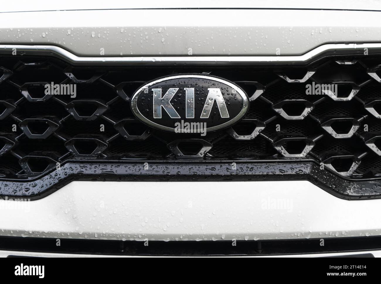 Yerevan, Armenia, September 8, 2023: KIA Motors. New logo with water drops on the hood of white Kia SUV. Chrome KIA logo closes up a hood, front grill Stock Photo