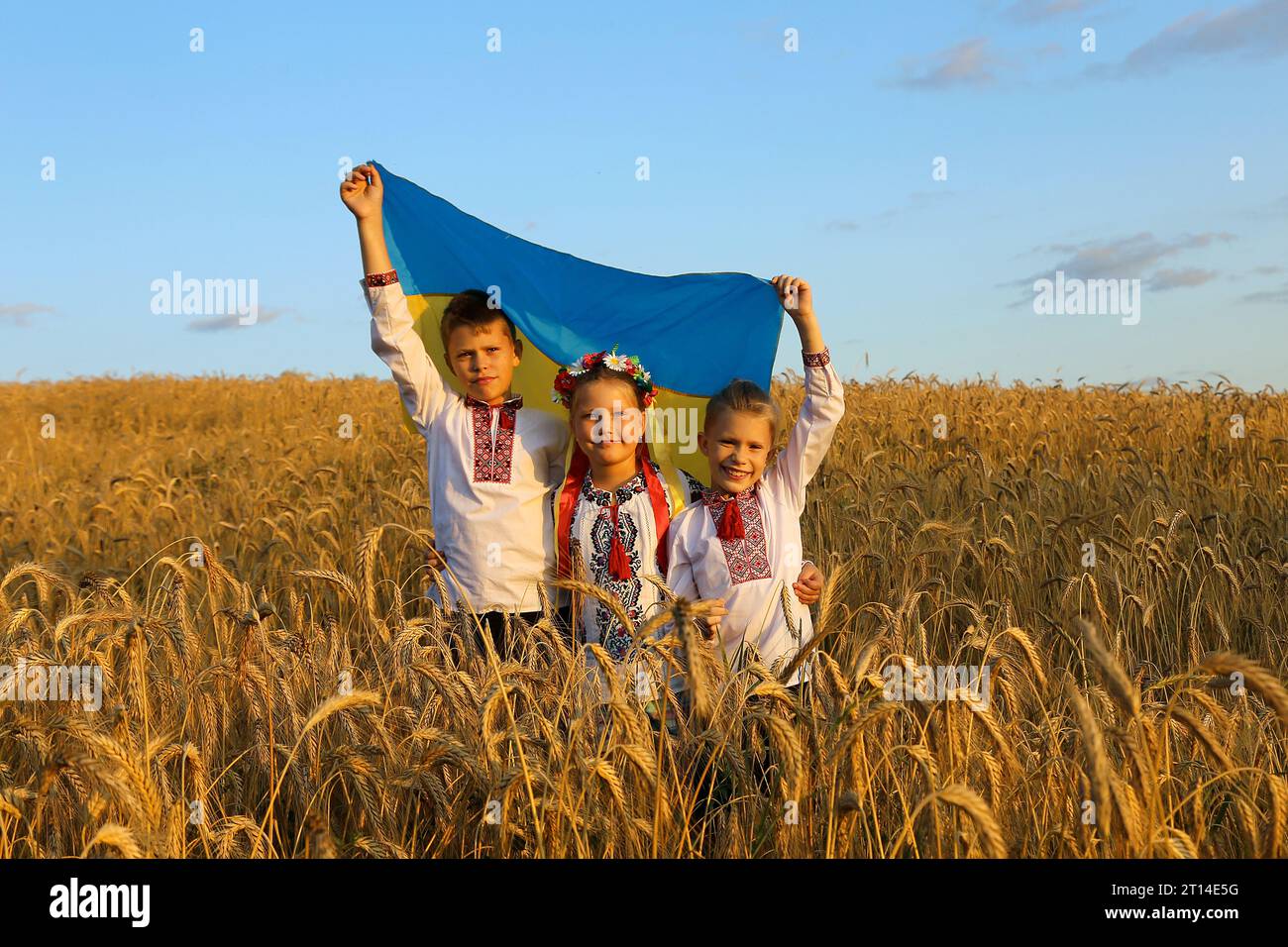 Happy smiling Ukrainian children carries fluttering blue and yellow flag of Ukraine against blue sky and wheat field background. Celebrate Constitutio Stock Photo