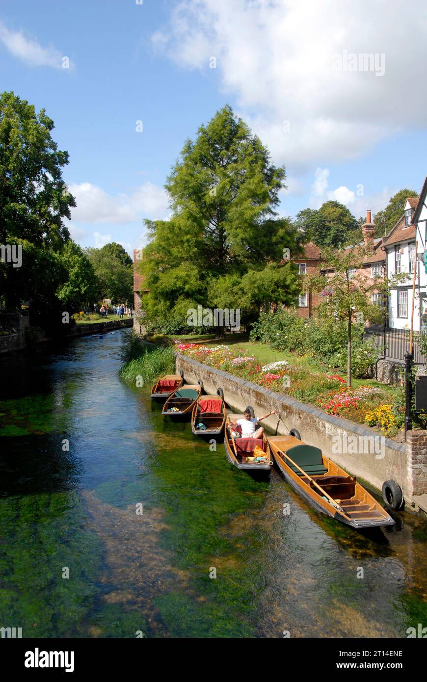 Punts for hire in a picturesque setting, river Great Stour, Canterbury, Kent Stock Photo